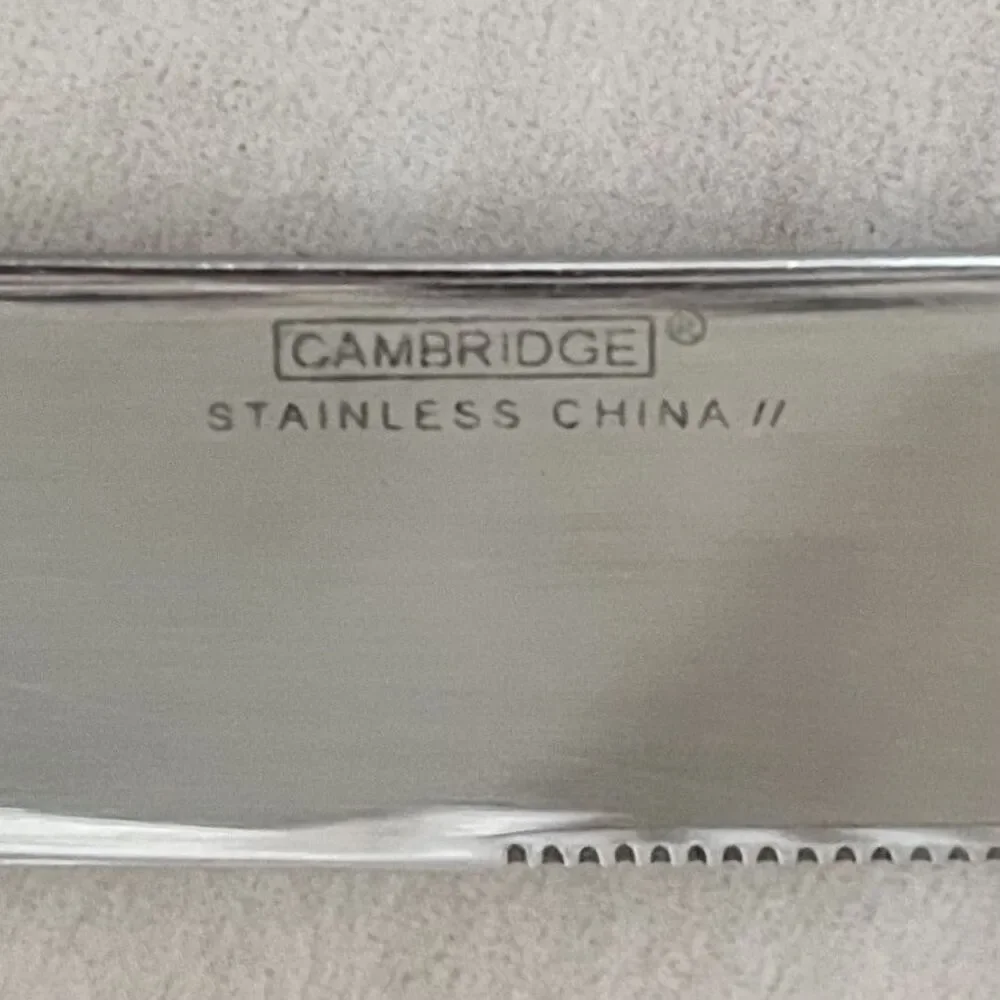 4pc CAMBRIDGE Rendezvous Stainless Dinner Knife 9 in Flatware Hammered Round Tip